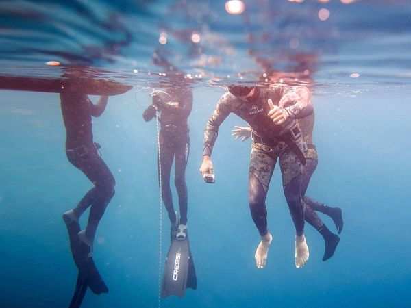Plongeurs en combinaison et palmes sous l'eau lors d'une session de plong�e en mer