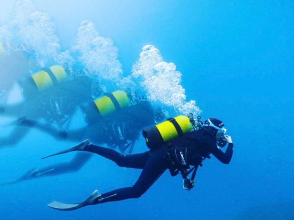 Apn�e Snorkeling, rando palm�e, sortie en bateau - Marina Baie des Anges H�tel